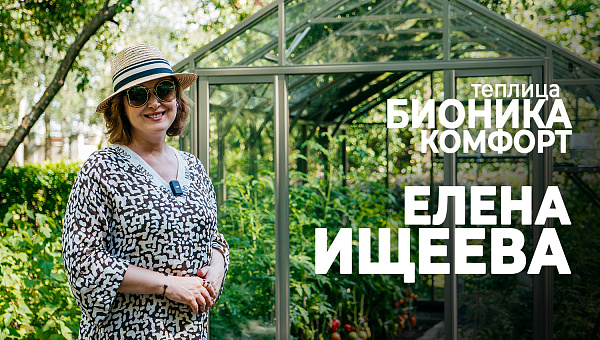 Теплица БИОНИКА у Елены Ищеевой